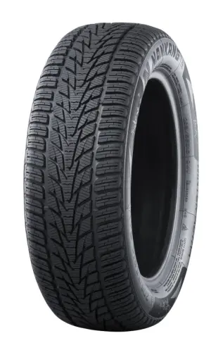 NANKANG WINTER ACTIVA SV-4 22540 R18 92V