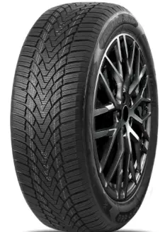 SONIX WINTERXPRO 888 20565 R16 R16 95H