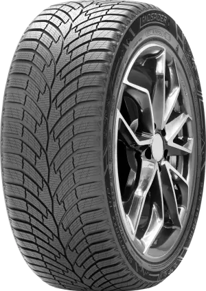 LANDSPIDER SNOWTRAXX HP 18560 R14 82T
